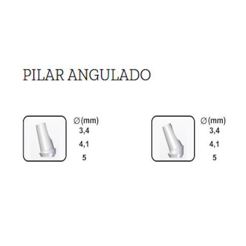 Pilar angulado 4/25°